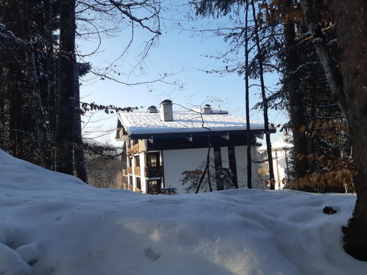Appartement En Station De Ski A 700 M Des Telecabines Et 100 M Du Centre-Village Les Carroz d'Arâches Extérieur photo